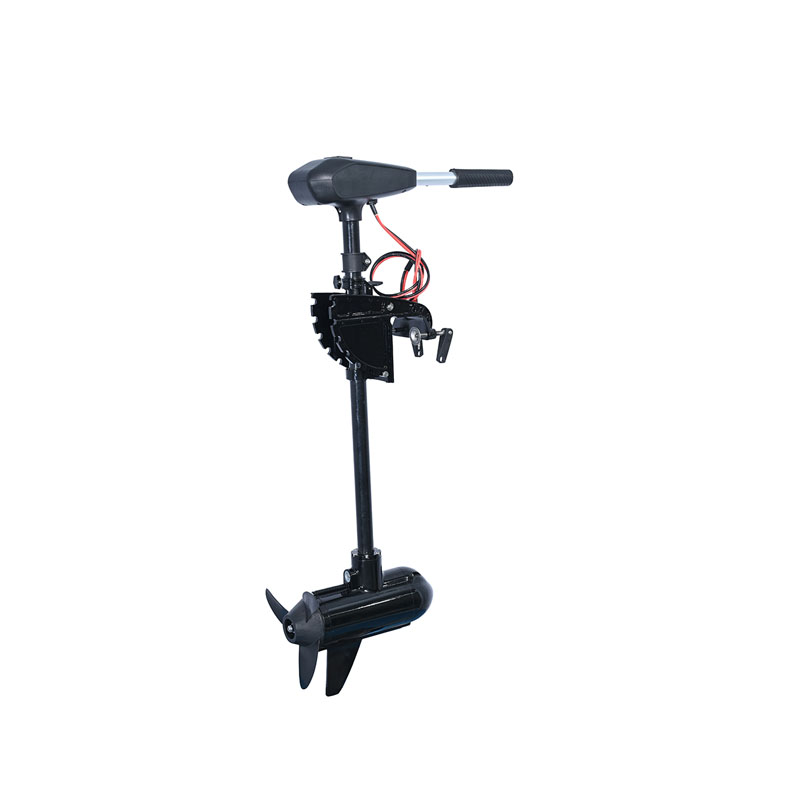 Duurzame 48V borstelloze schee - Brushless Motor recensie en prijs